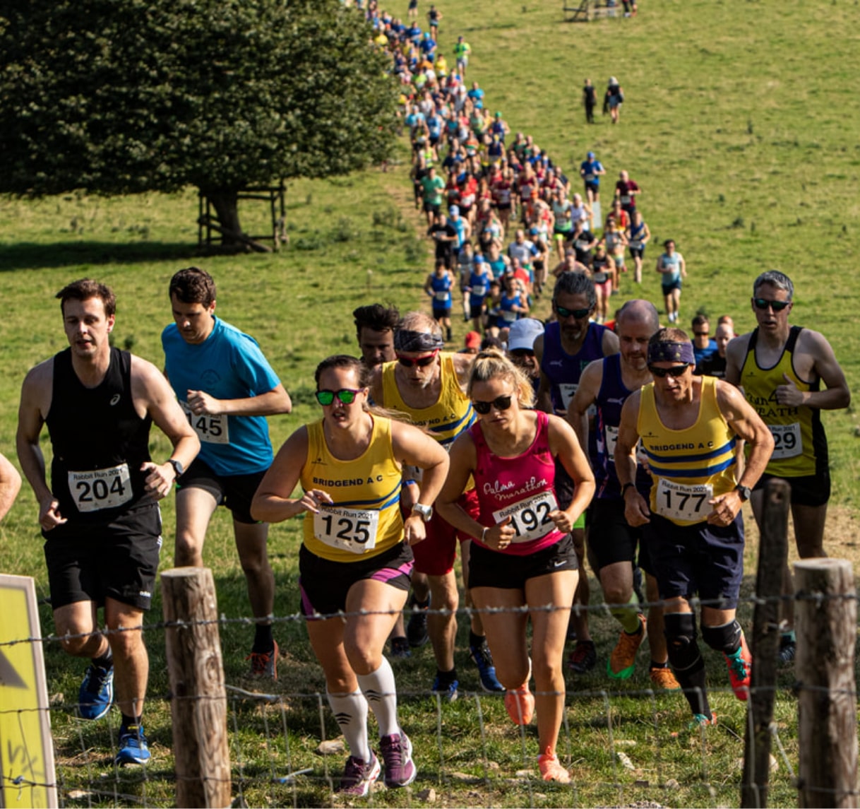 12K Race - Rabbit Run Wales